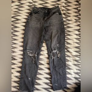 American Eagle Outfitters : size 2 Regular